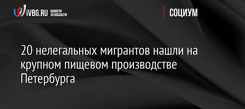 20 нелегальных мигрантов нашли на крупном пищевом производстве Петербурга