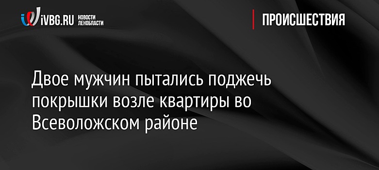 Двое мужчин пытались поджечь покрышки возле квартиры во Всеволожском районе