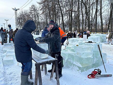 Фестиваль ледовых скульпур сегодня пройдет в Костроме: где и во сколько