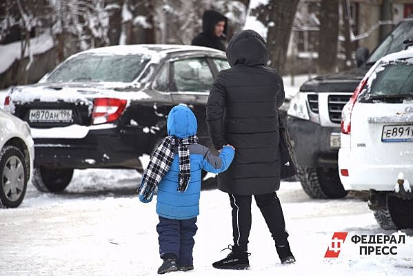 Figaro: Монпелье станет самым крупным городом Европы с бесплатным общественным транспортом