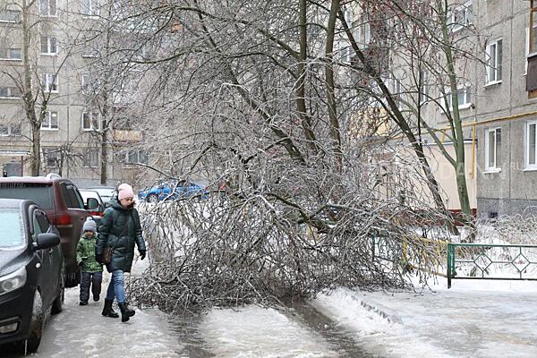 Кто должен компенсировать ущерб от урагана?