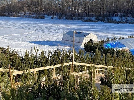 МЧС: во время крещенских купаний в Оренбурге происшествий не было