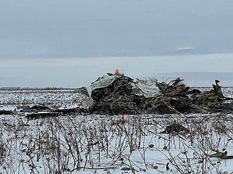 Минобороны: Киев совершил теракт, сбив самолёт Ил-76 над Белгородской областью