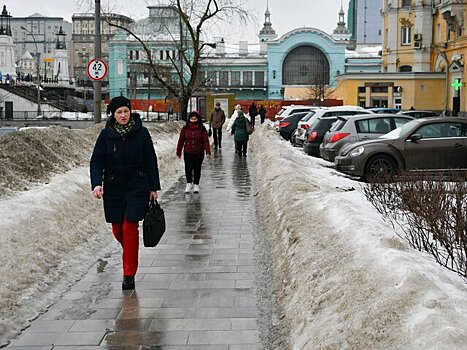 Москвичам пообещали самую теплую неделю с начала 2024 года