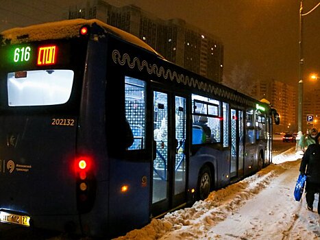 Москвичам рекомендовали пересесть на общественный транспорт из-за снега