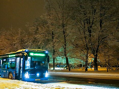 Москвичам рекомендовали пользоваться общественным транспортом из-за снега