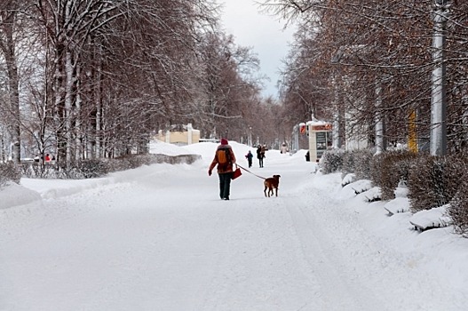 На Омск надвигается мощное потепление