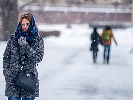 Облачная погода и мокрый снег ожидаются в Москве 31 января