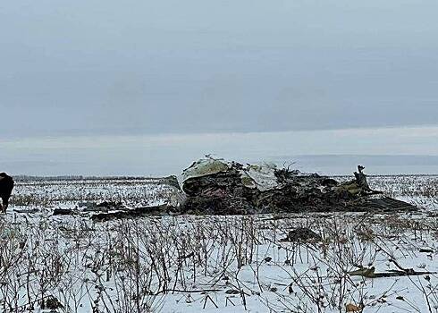 Очевидец рассказал о трех хлопках в момент крушения Ил-76 под Белгородом