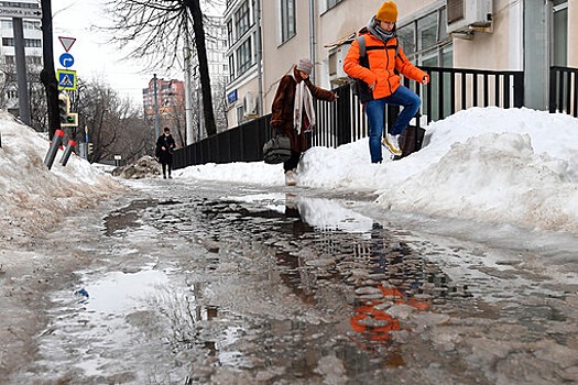 Синоптик Позднякова: в Москве 30 января стало самым теплым днем в месяце