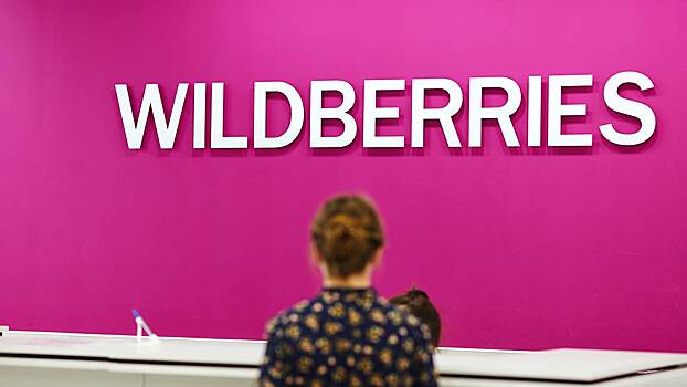 СК опроверг информацию о задержании по делу о пожаре на складе Wildberries