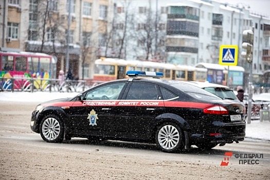 СК проводит проверку после драки девочек-подростков на Камчатке