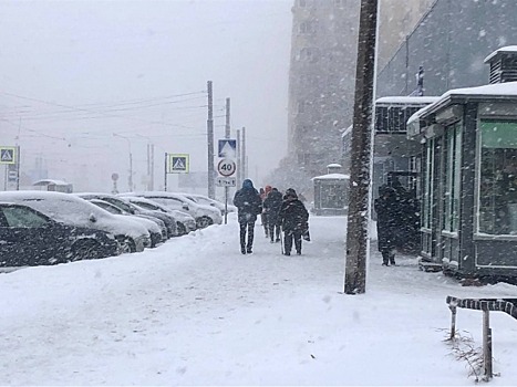 Снегопад и метель обрушатся на Приморье: дата