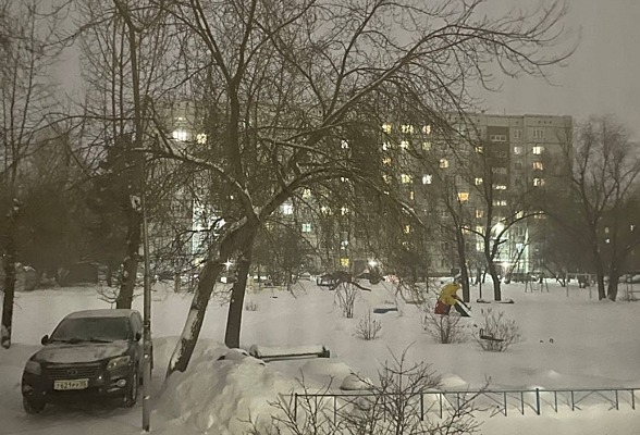 Сообщения о сегодняшнем отключении электричества в Омской области власти назвали фейком