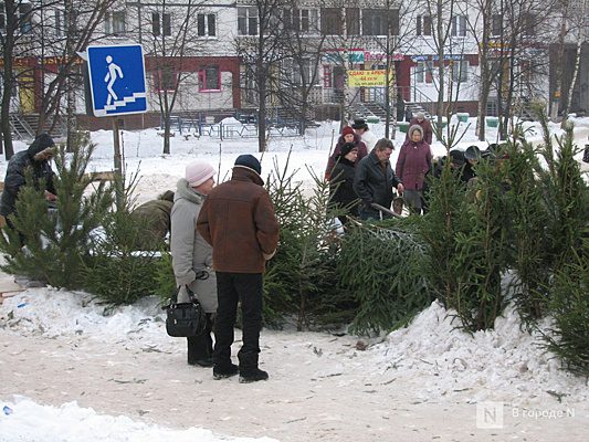 Стали известны адреса елочных базаров в Нижнем Новгороде