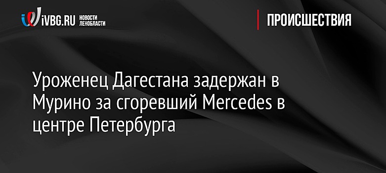 Уроженец Дагестана задержан в Мурино за сгоревший Mercedes в центре Петербурга