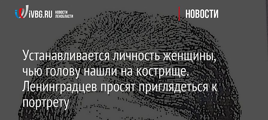 Устанавливается личность женщины, чью голову нашли на кострище. Ленинградцев просят приглядеться к портрету