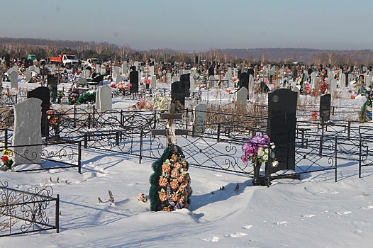 В Благовещенске на кладбище пожилой мужчина вывихнул плечо после потасовки со студентом