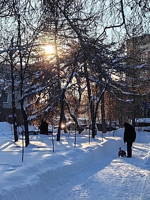 В Челябинской области 16 января – без осадков, лишь на крайнем западе небольшой снег