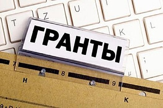 В Хабаровске социально ориентированные НКО могут получить финансовую поддержку