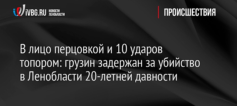 В лицо перцовкой и 10 ударов топором: грузин задержан за убийство в Ленобласти 20-летней давности