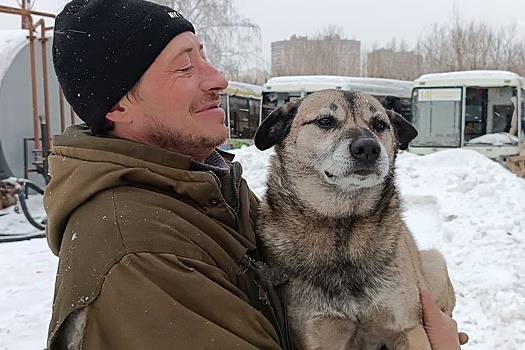 В Новосибирске приюту для собак предложили выкупить участок на аукционе