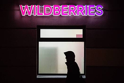 В России попросили проверить склады Wildberries и Ozon