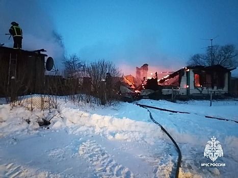 В селе Мочалейка Каменского района сгорело два дома, погиб мужчина