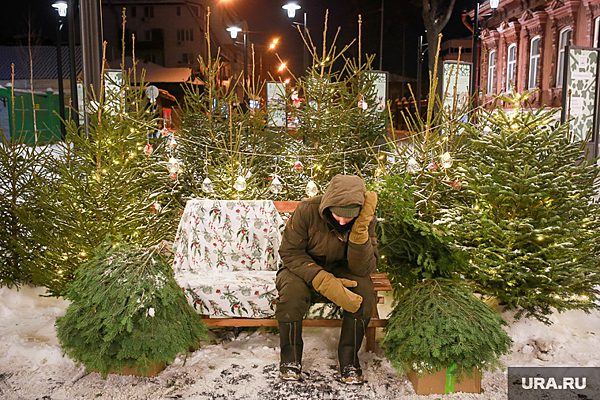 В Тюмени сдать елку на переработку можно в зоопарк или в специальный пункт