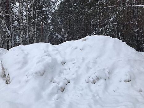 В Восточный поселок Ижевска зайдет новый субподрядчик для уборки снега