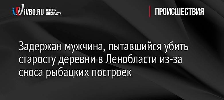 Задержан мужчина, пытавшийся убить старосту деревни в Ленобласти из-за сноса рыбацких построек