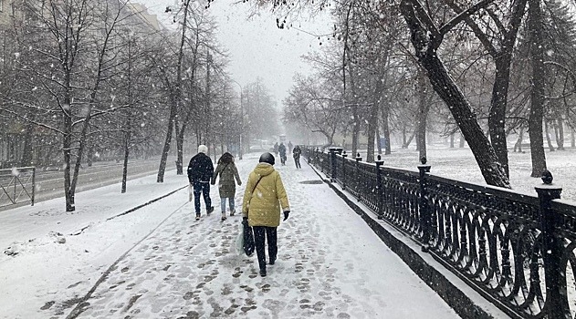 Жителей Новосибирска ждут снежные выходные