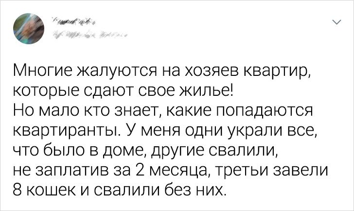 15+ человек рассказали, что учудили их квартиросъемщики