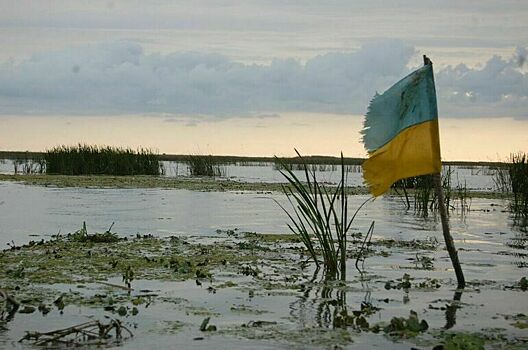 AT: Нуланд приехала на Украину из-за угроза переворота в стране