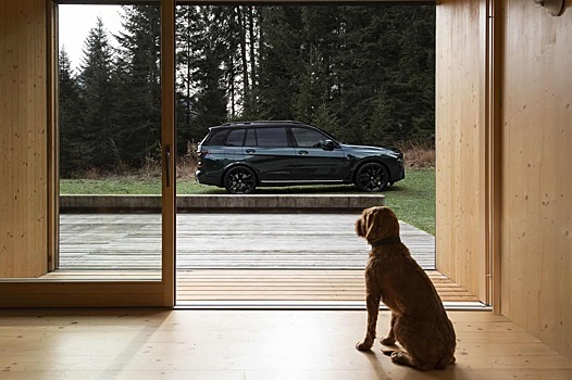 BMW X7 xDrive40d Poldo Dog Couture Edition