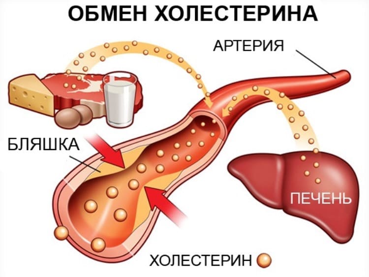 До свидания холестерин, глюкоза в крови, липиды и триглицериды!