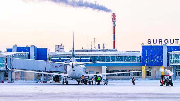 Двое пьяных россиян устроили дебош на борту самолета