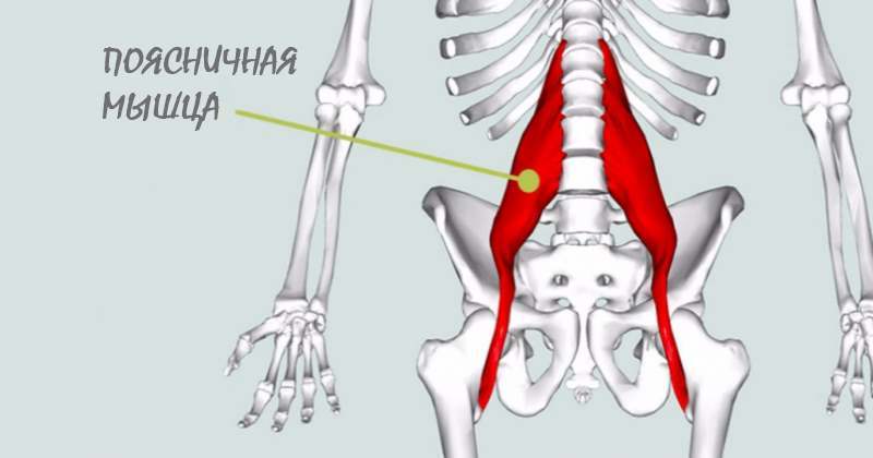Как невидимая глазу поясничная мышца влияет на всё тело