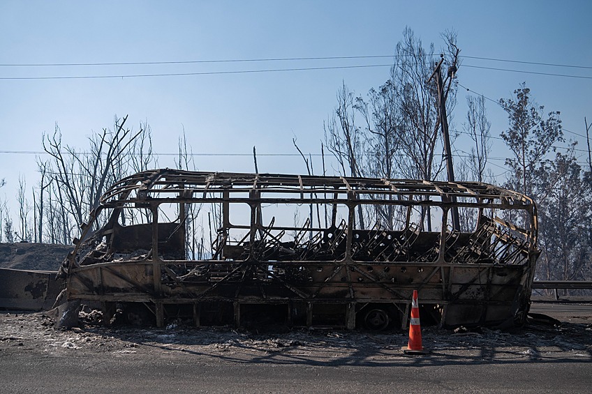 Последствия лесных пожаров в Чили 