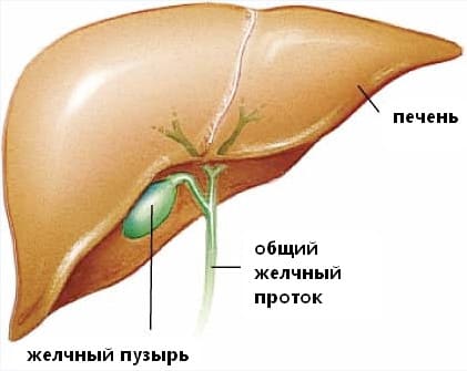 Легкое очищение желчного пузыря!