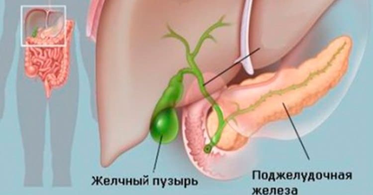 Легкое очищение желчного пузыря!