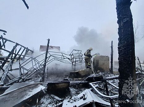 МЧС: в загоревшемся в доме в Богородском районе находилось два человека