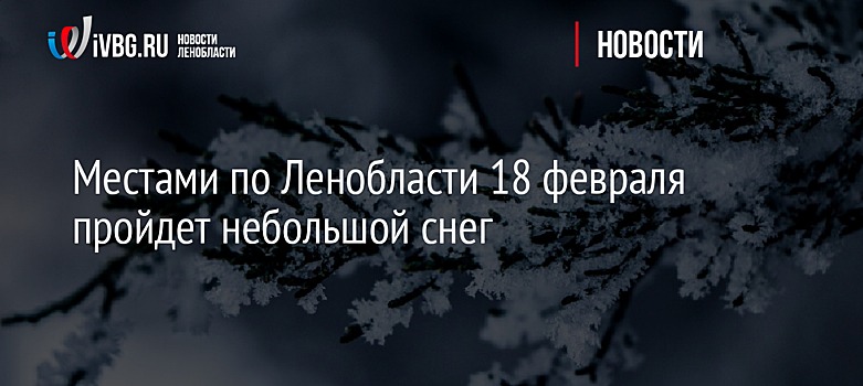 Местами по Ленобласти 18 февраля пройдет небольшой снег