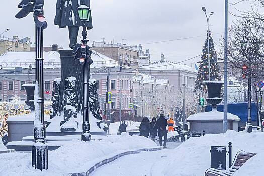 Москвичам пообещали январские морозы