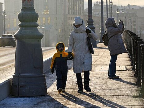 Москвичей предупредили о порывистом ветре и гололедице 2 февраля