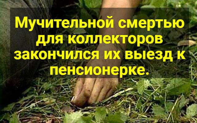 Мучительной смертью для коллекторов закончился их выезд к пенсионерке.