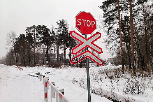 Названа причина столкновения двух поездов в российском регионе