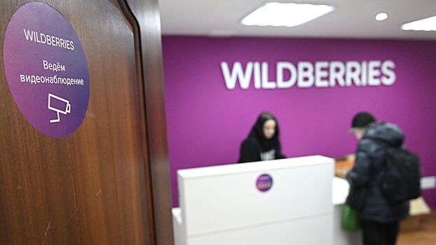 Названа сумма компенсаций, выплаченных Wildberries после пожара в Шушарах