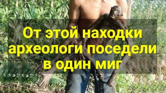 От этой находки археологи поседели в один миг