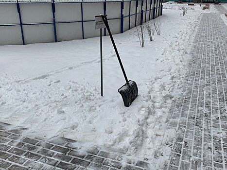 Пятница в Москве будет снежной и облачной